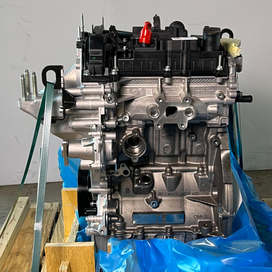 FORD Service Engine Assembly Grey G1FG6006DA