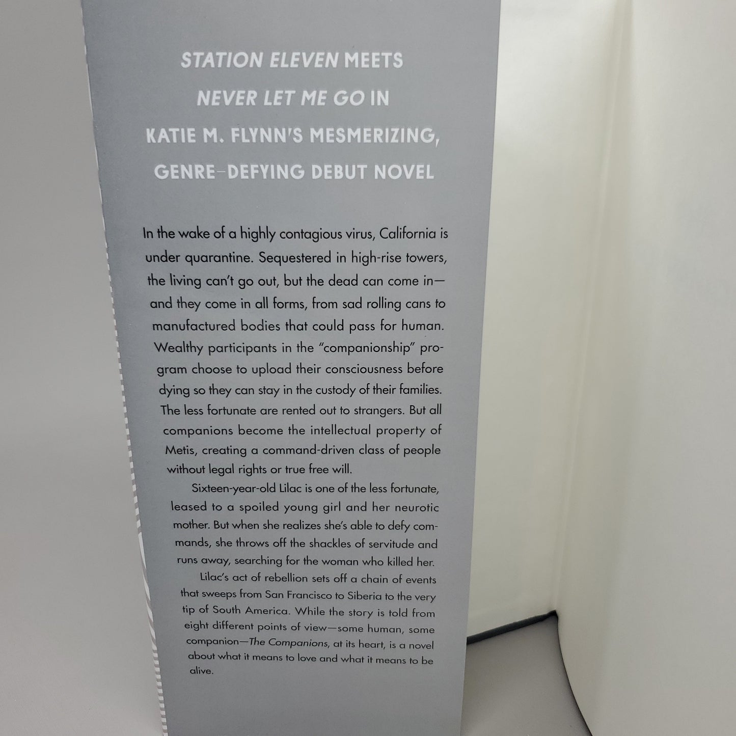 THE COMPANIONS A Novel by Katie M. Flynn Book Hardback (New)