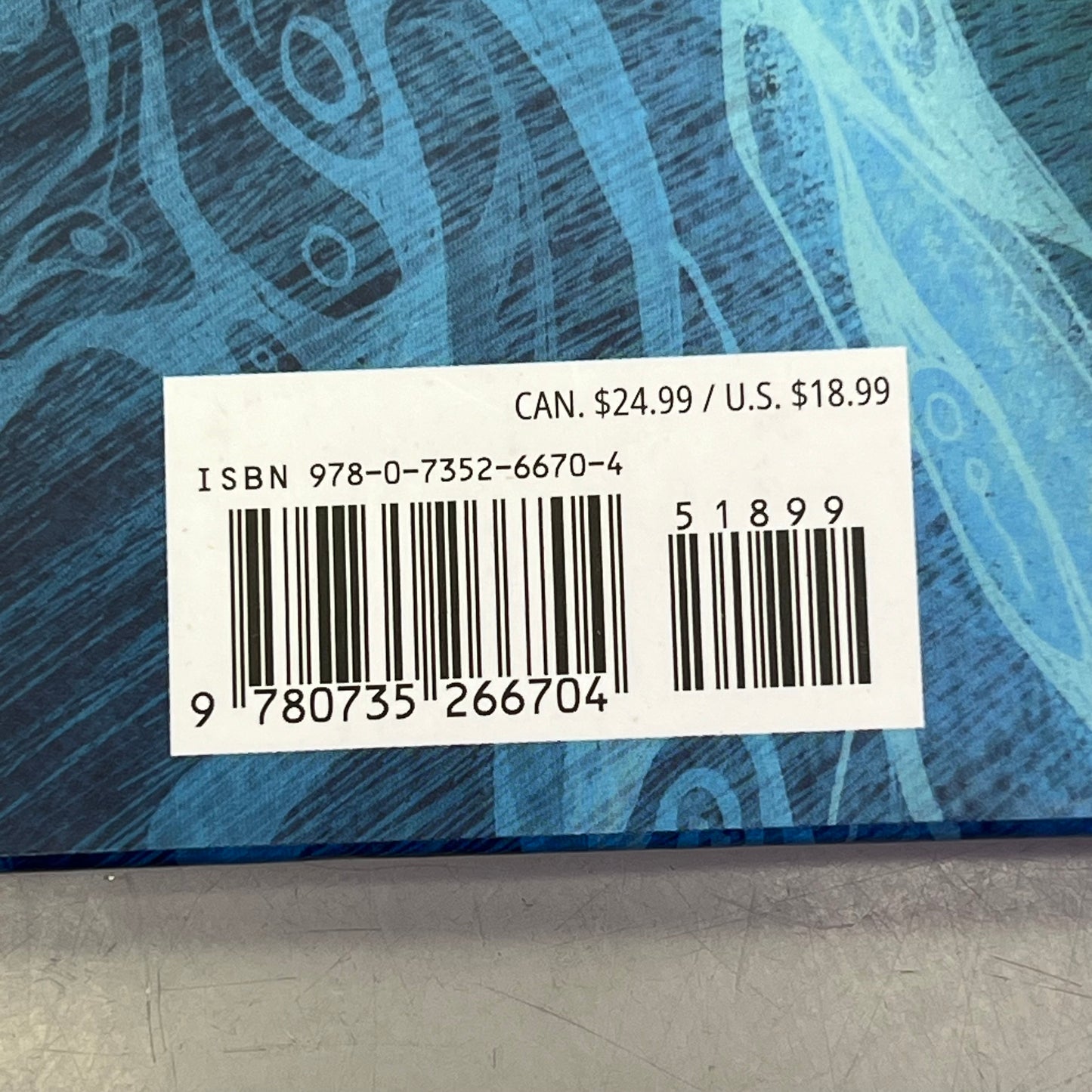 THE SONG THAT CALLED THEM HOME Hardcover Picture Book By David A. Robertson