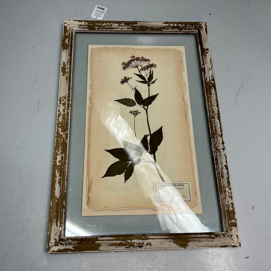 RAZ IMPORTS (SET OF 6) Farm To Table Assorted Pressed Flower Framed Art 20.5"