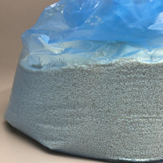 BAKESENSE Hulled Sesame Seeds 10 Lbs 73246