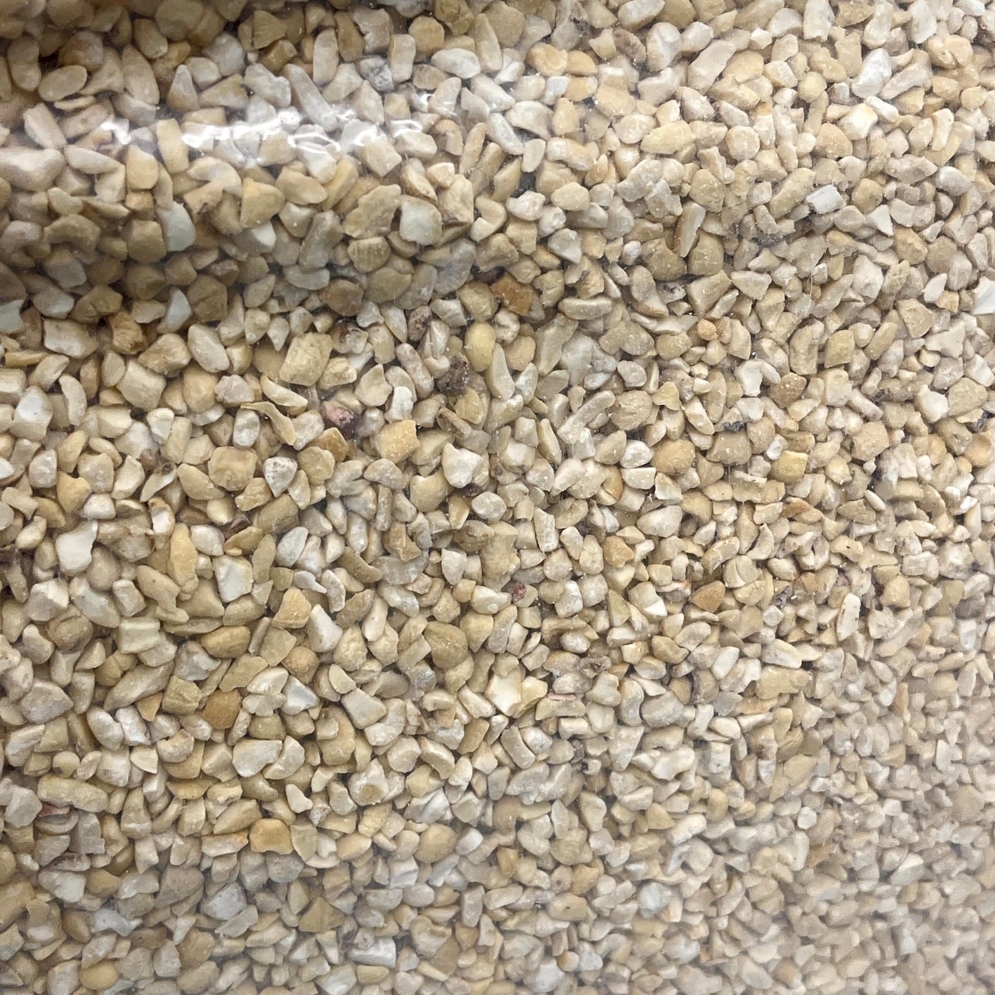 OLAM 100% Organic Blanched Cashew Kernels 50 LBS