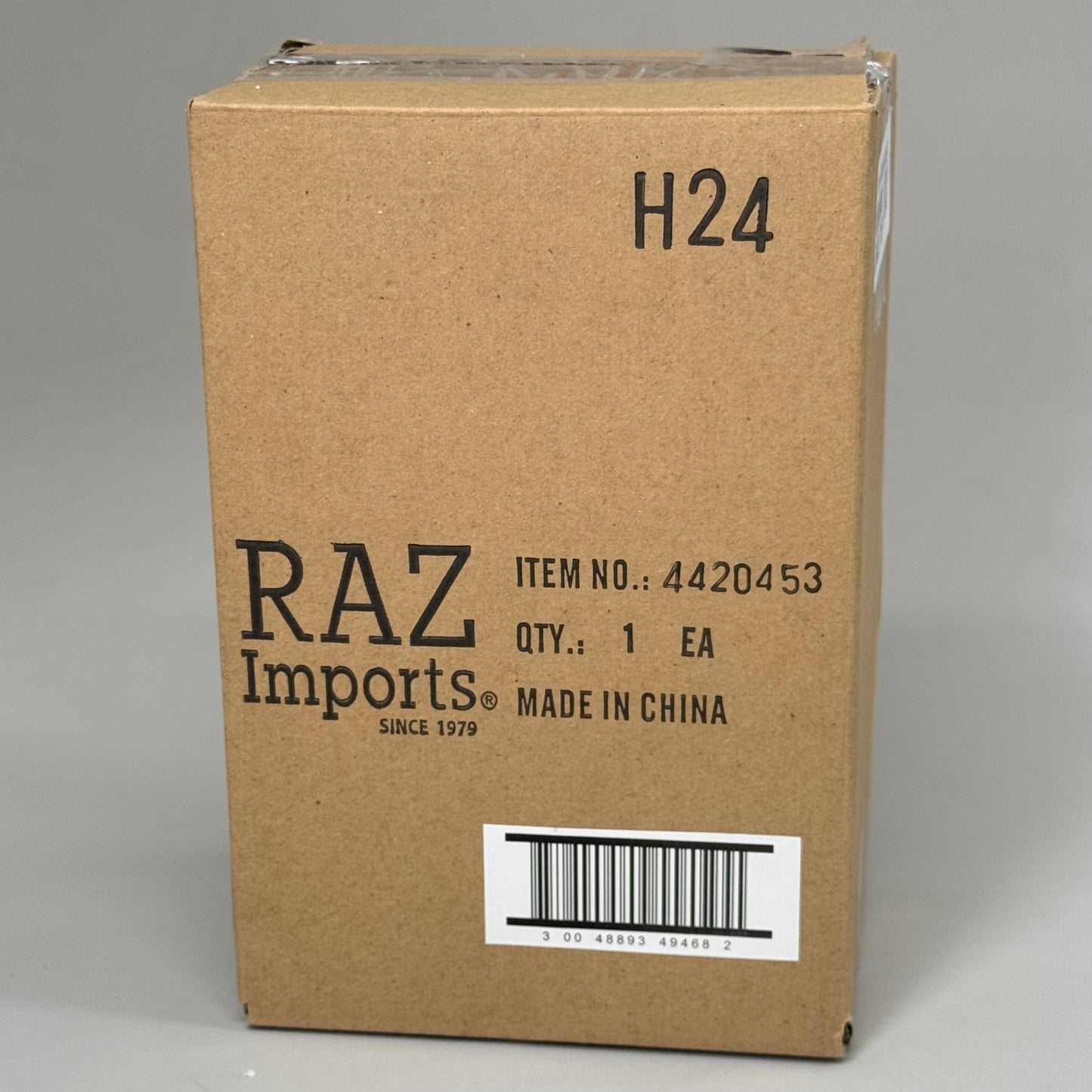 RAZ IMPORT Resin Ghost Family Scaredy Cat Collection Halloween Decor 9" 4420453