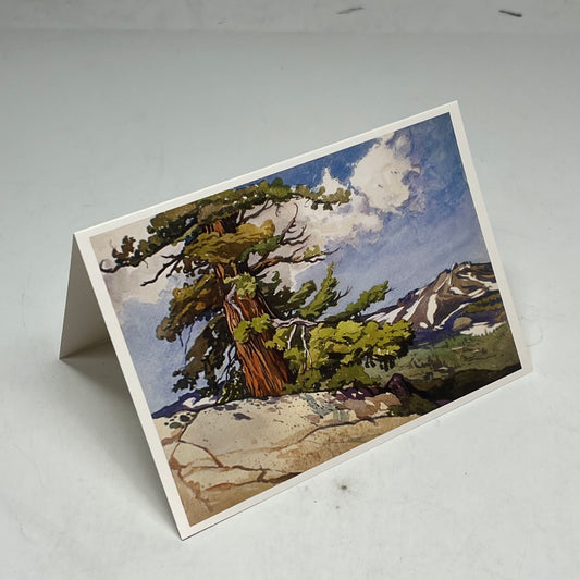 POMEGRANTE (20 PACK) William S Rice Watercolors Notecards W/ Envelopes 4x6"
