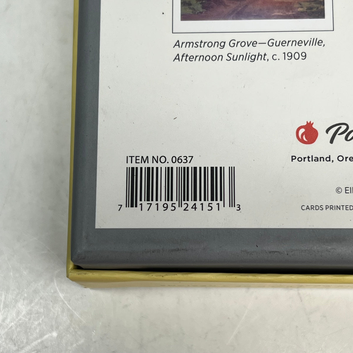 POMEGRANTE (20 PACK) William S Rice Watercolors Notecards W/ Envelopes 4x6"