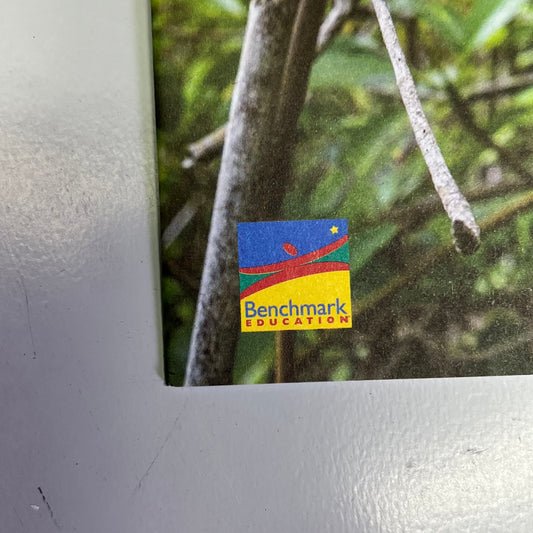 BENCHMARK EDUCATION (7 Unit Book Set) Phonics Intervention Level 3 Long Vowels