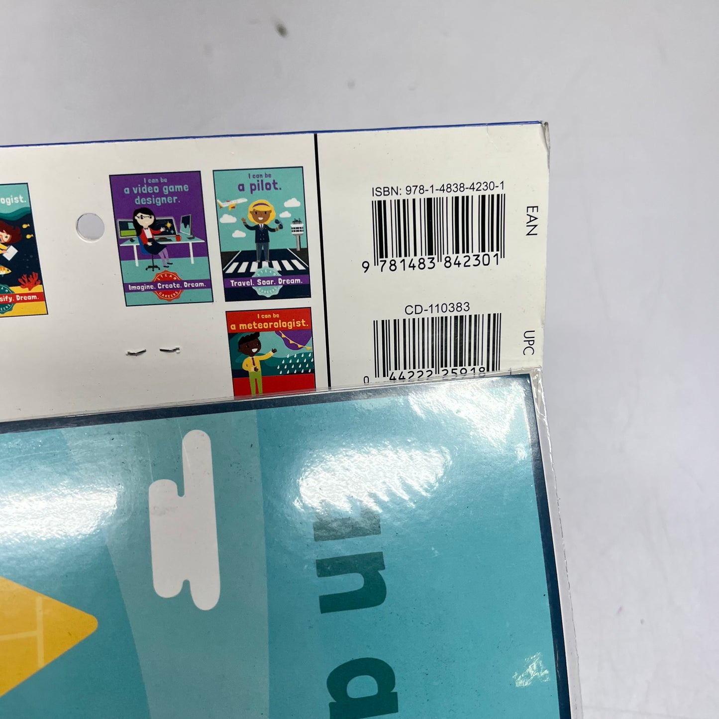 CARSON DELLOSA Education Steam Careers Bulletin Board Set 12 Pieces CD-110383