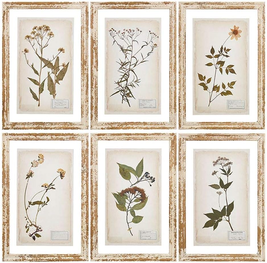 RAZ IMPORTS (SET OF 6) Farm To Table Assorted Pressed Flower Framed Art 20.5"