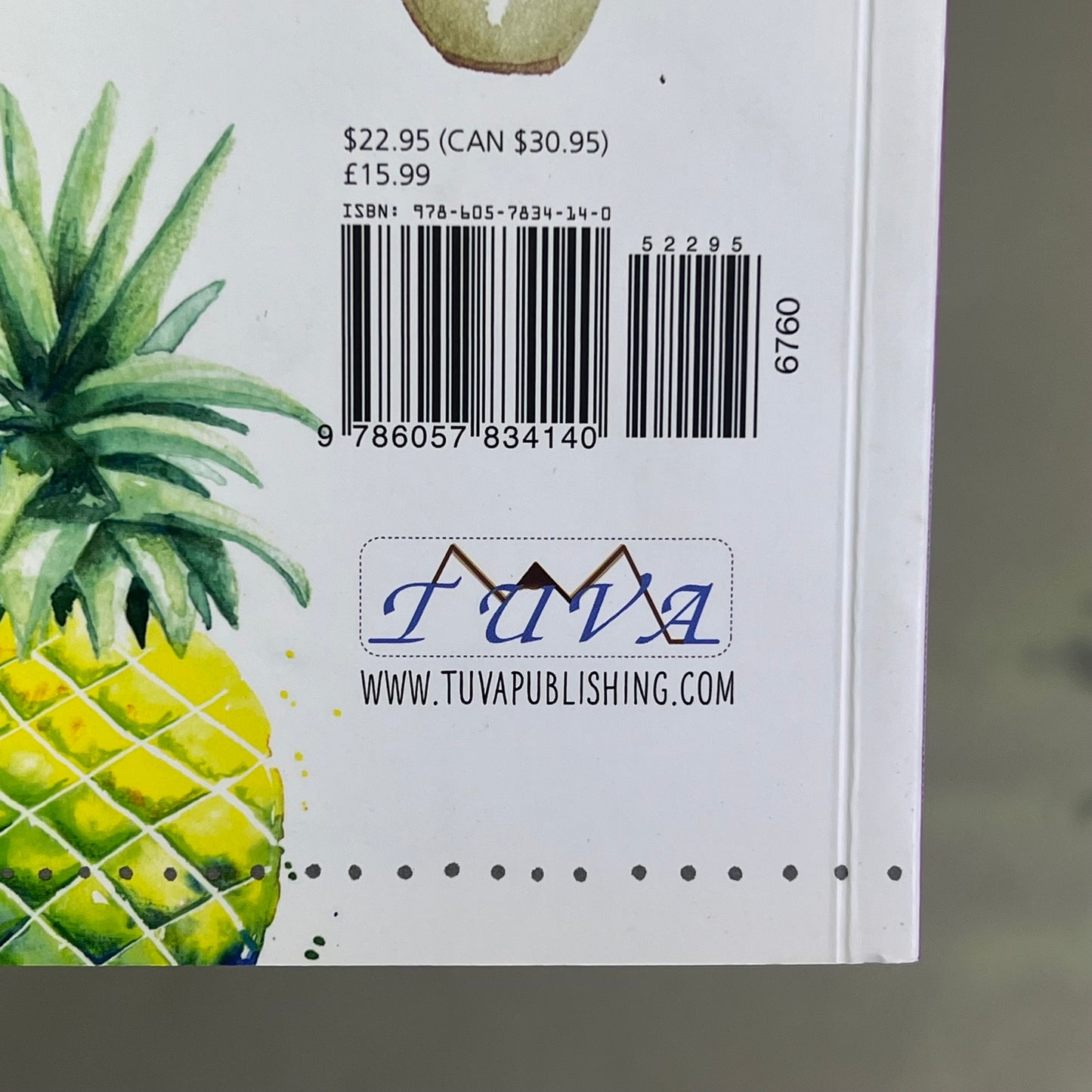 WATERCOLOR MEETS HANDLETTERING A Book Of Blogger Projects Paperback Book