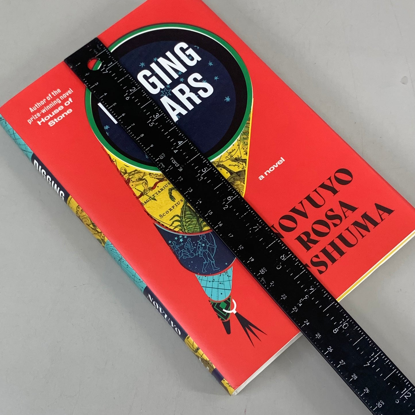 NORTON Novuyo Rosa Tshuma Digging Starts 288 Pages