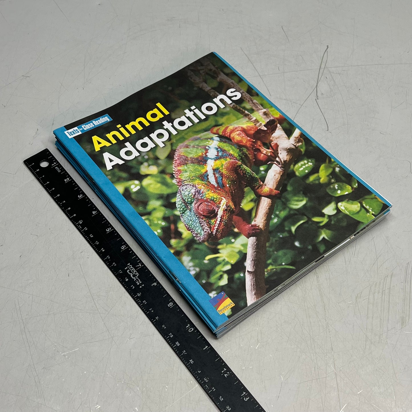 BENCHMARK Advance (National Edition) Gr. 3 Texts Close Reading Paperback Y49165