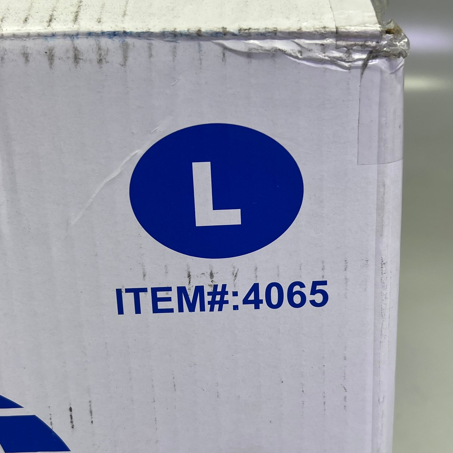 NBD (1 BOX, 10,000 EACH) Disposable Vinyl Powder Free Gloves Large Clear 4065