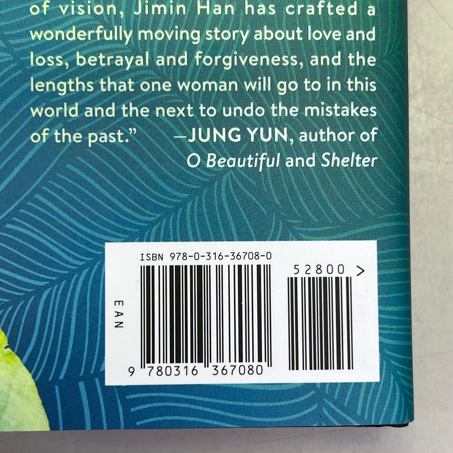 THE APOLOGY About A South Korean Matriarch Hardcover Book By Jimin Han