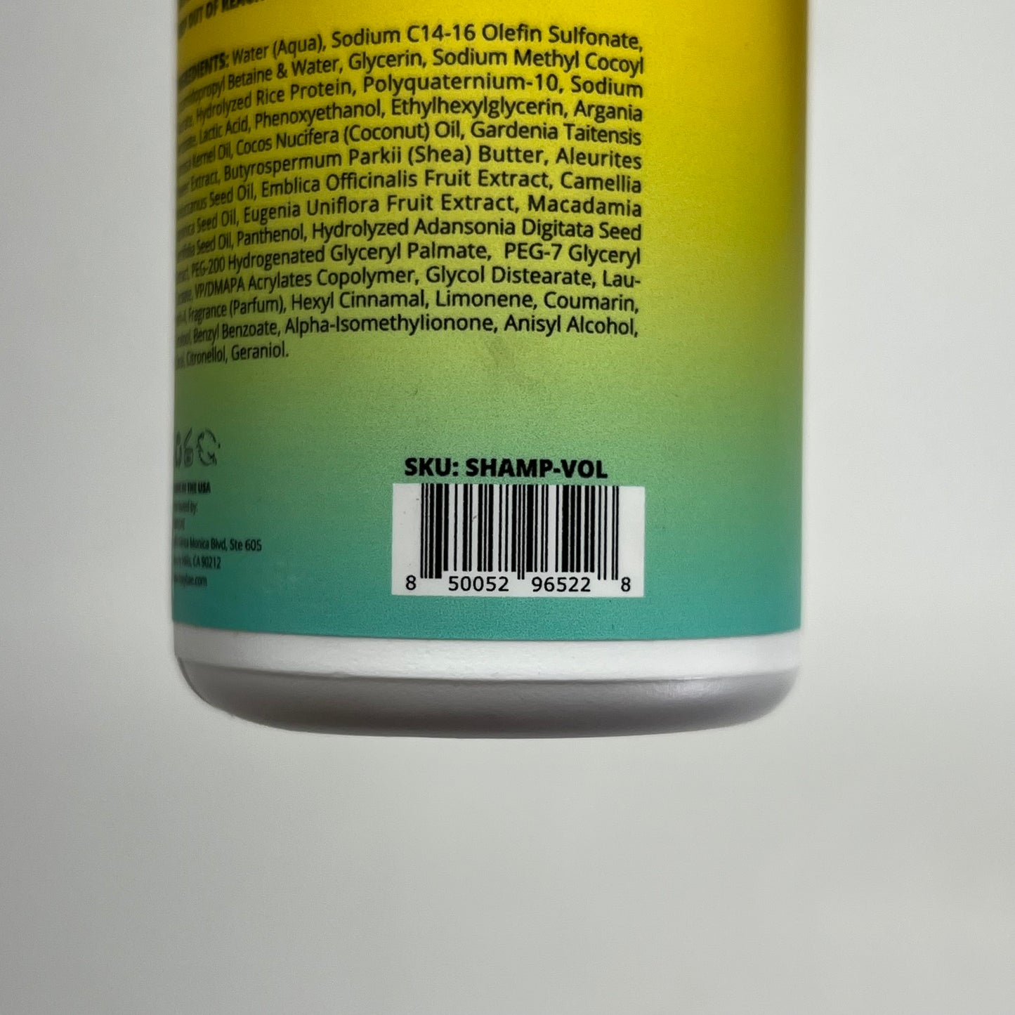 FOXY BAE (2 PACK) Area Bounce Volumizing Shampoo for Fine Hair 10 oz SHAMP-VOL