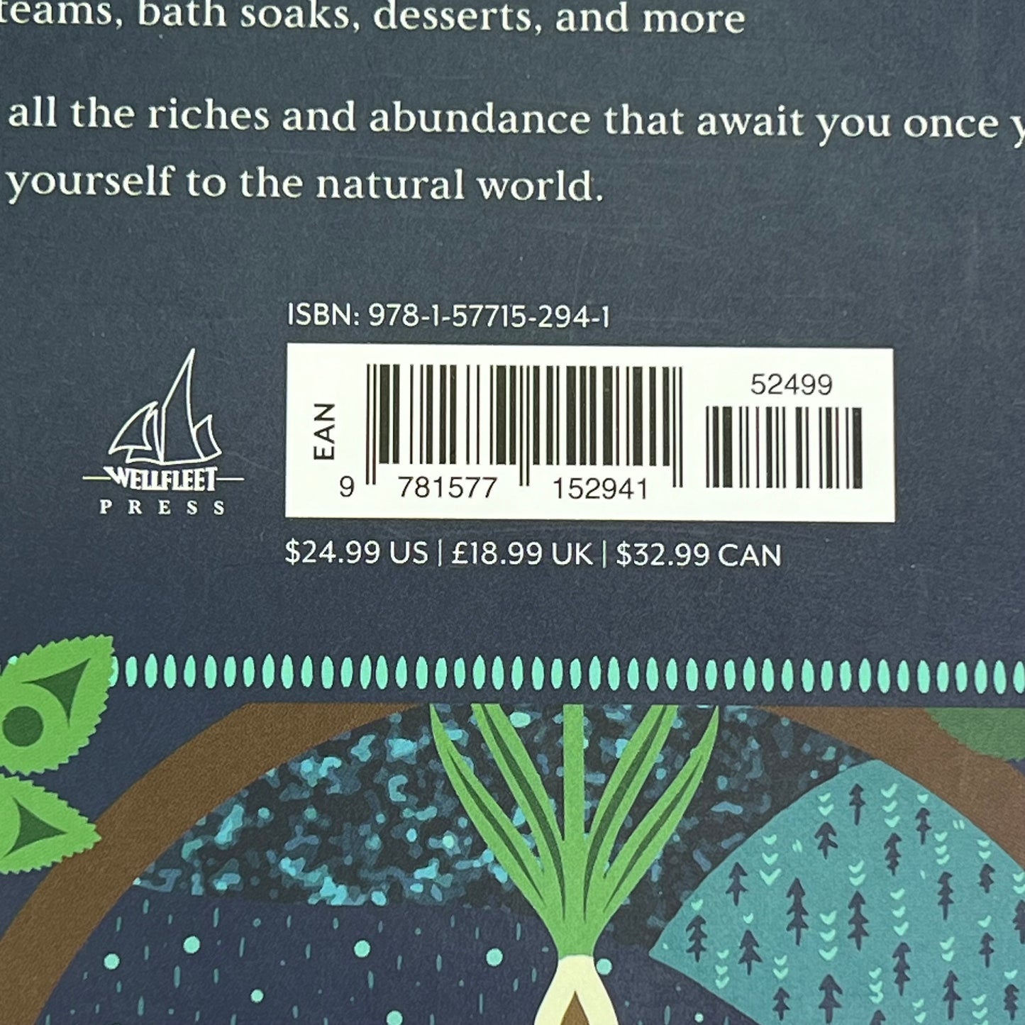 HELD BY THE LAND A Guide To Indigenous Plants For Wellness By Leigh Joseph