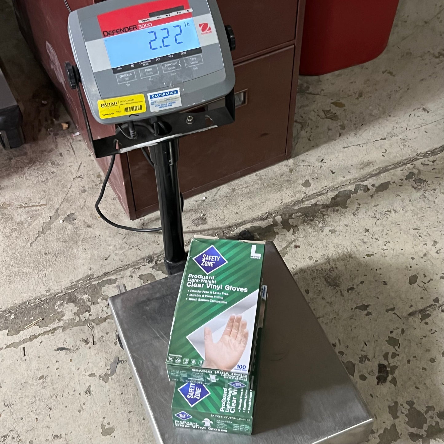 ZA@ SAFETY ZONE (2 PACK of 100 Gloves) Clear Vinyl Gloves Sz L GVP9-LG-HH (AS-IS, Distressed Box) D