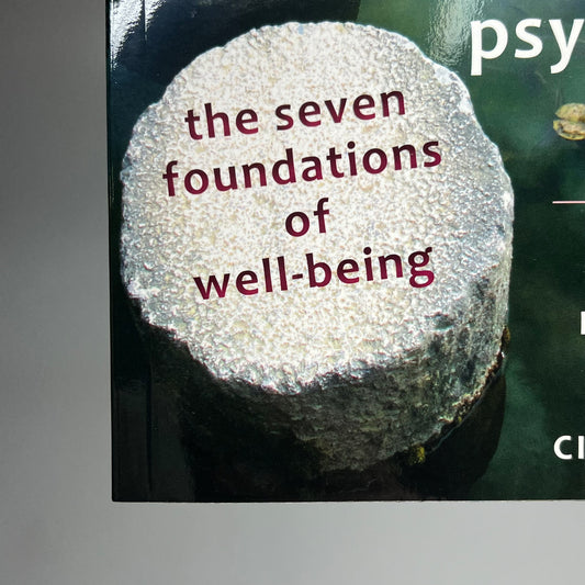 MINDFULNESS, ACCEPTANCE & POSTIVE PSYCHOLOGY Book Edited By Todd B & Joseph