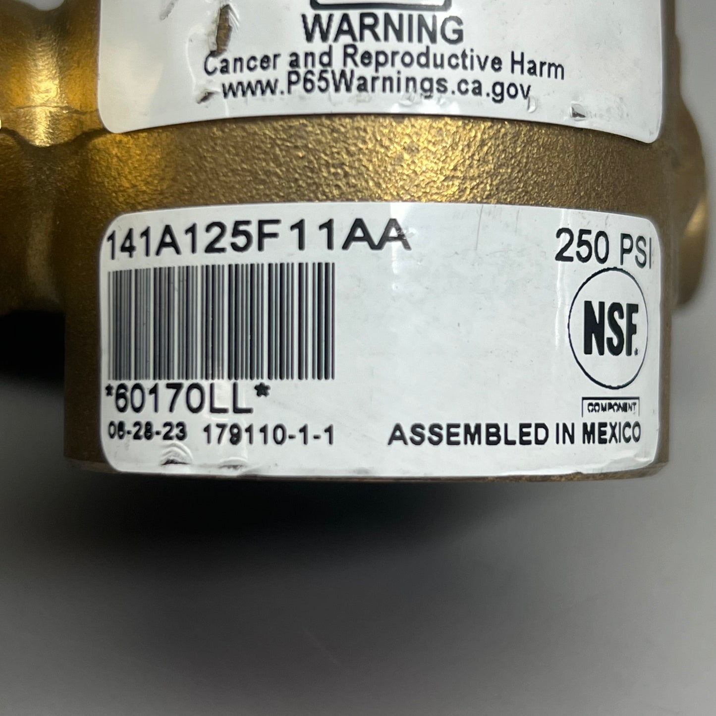 PROCON Rotary Vane Pump Brass Valves 141A125F11AA 250 PSI 60170LL SST 1046-2 BTS LL4