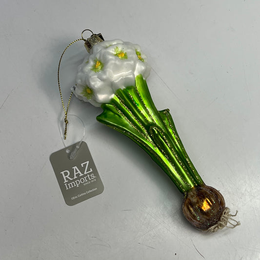RAZ IMPORTS Glass Paperwhite Bulb Ornament Eric Cortina Collection 7" 4553115
