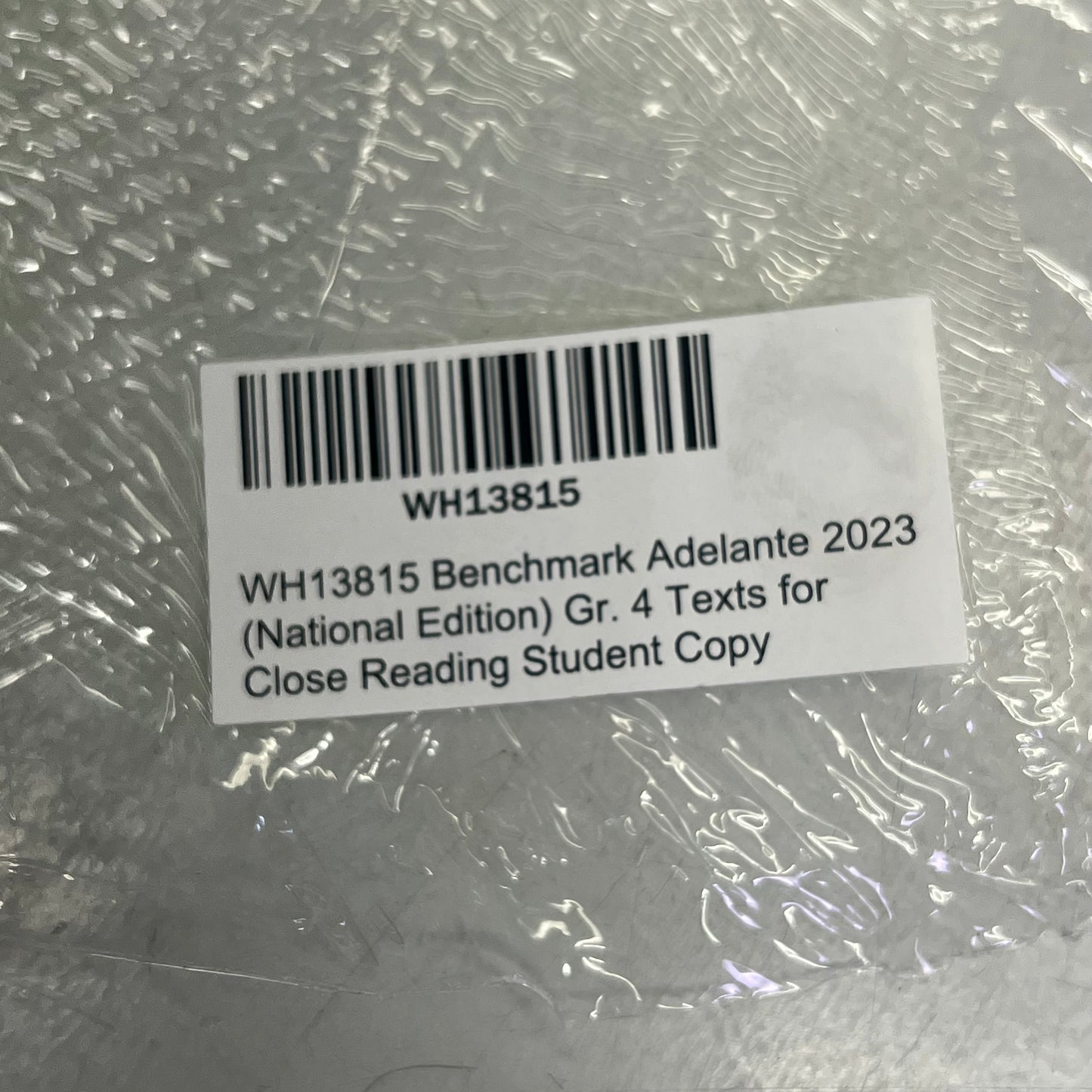 BENCHMARK EDUCATION (10 SET) Multiple Learning Point Books Grade 4 Spanish Edition