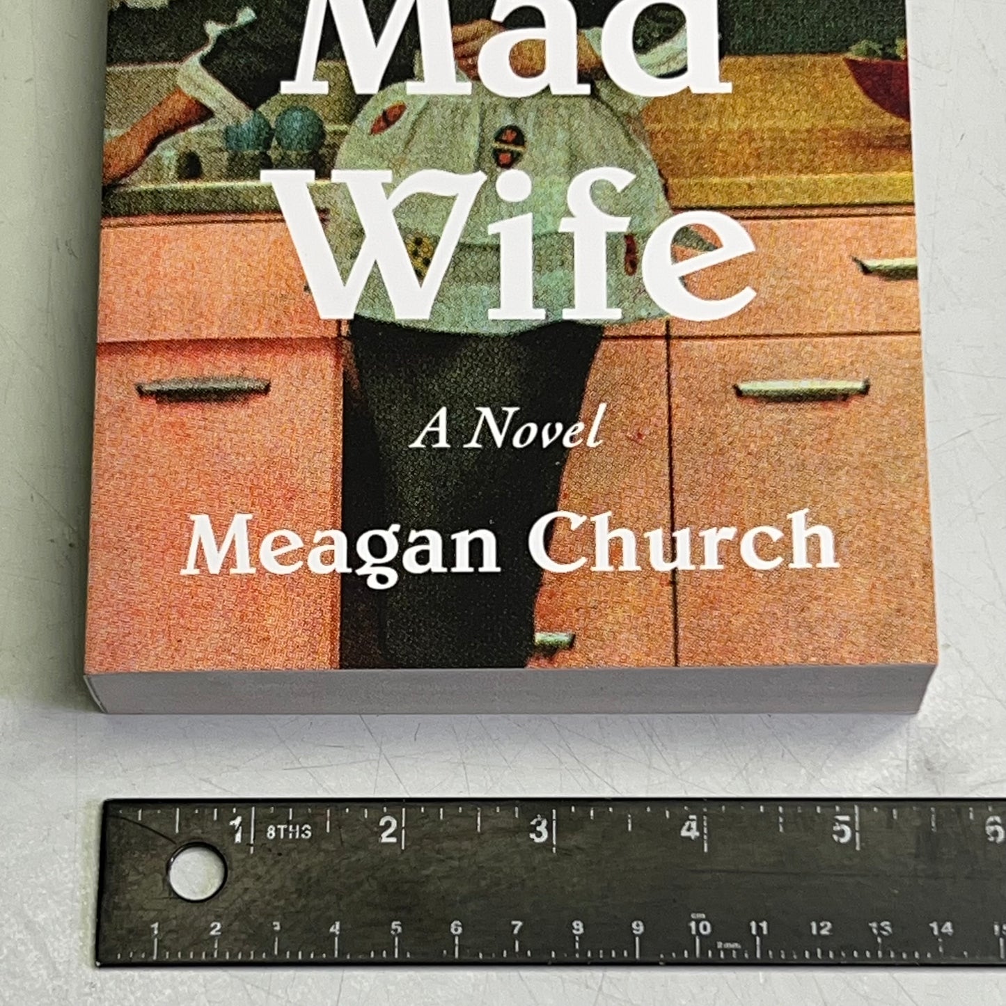 THE MAD WIFE Megan Church, A Haunting, Hopeful Tale of Resilience