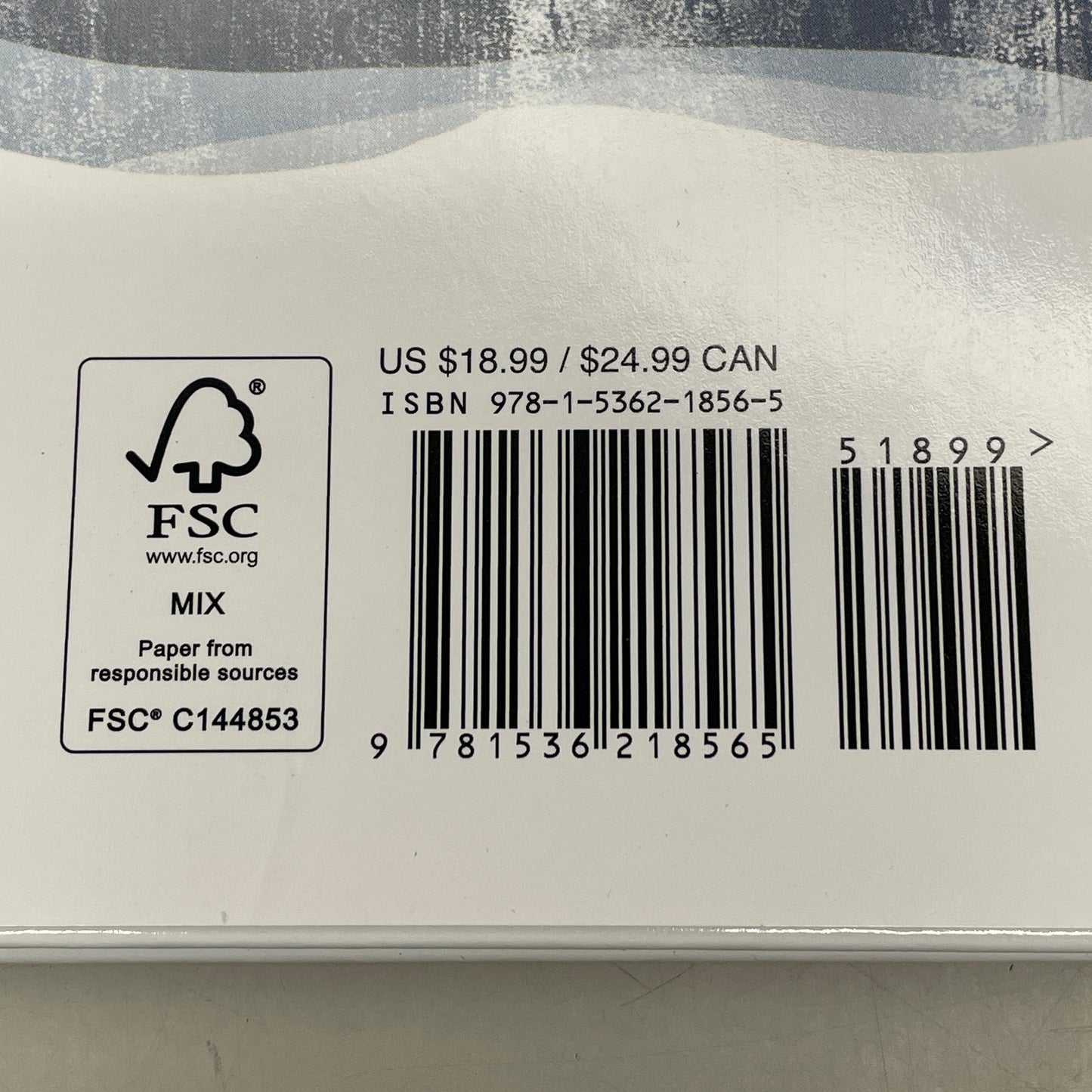 WHAT'S YOUR NAME? Hardcover By Bethanie Deeney Murguia