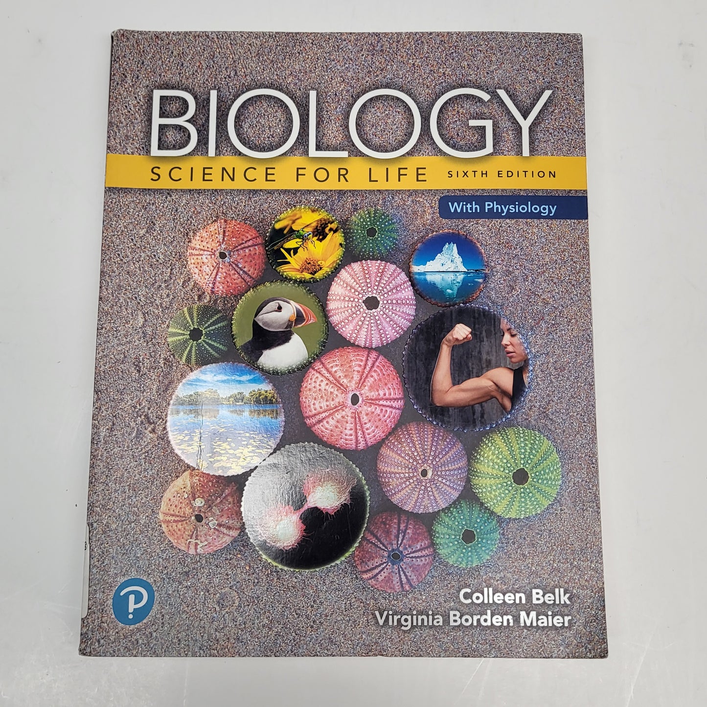 ZA@ Box of Assorted Textbooks Hardback & Paperback (Used/As-Is)