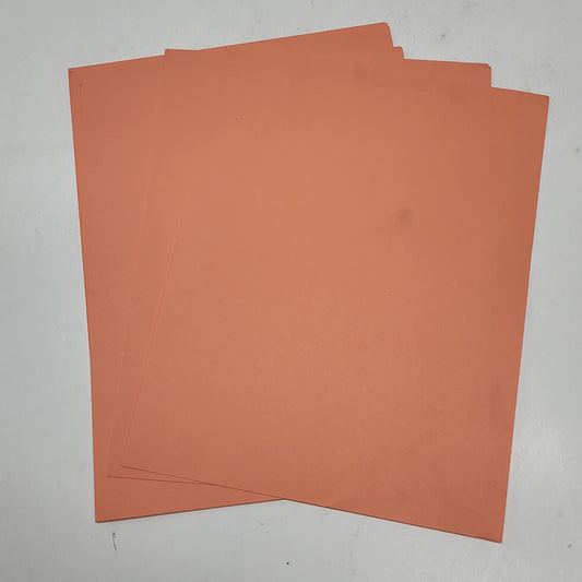 HAMMERHILL Colored Standard Size Printer Paper 5000 sheets Salmon 103119