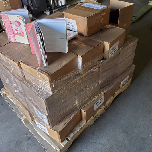 ZA@ Pallet of ERIN CANDREN Hello Kitty Weekly Academic Planners Aug 2025-July 2026 (AS-IS)