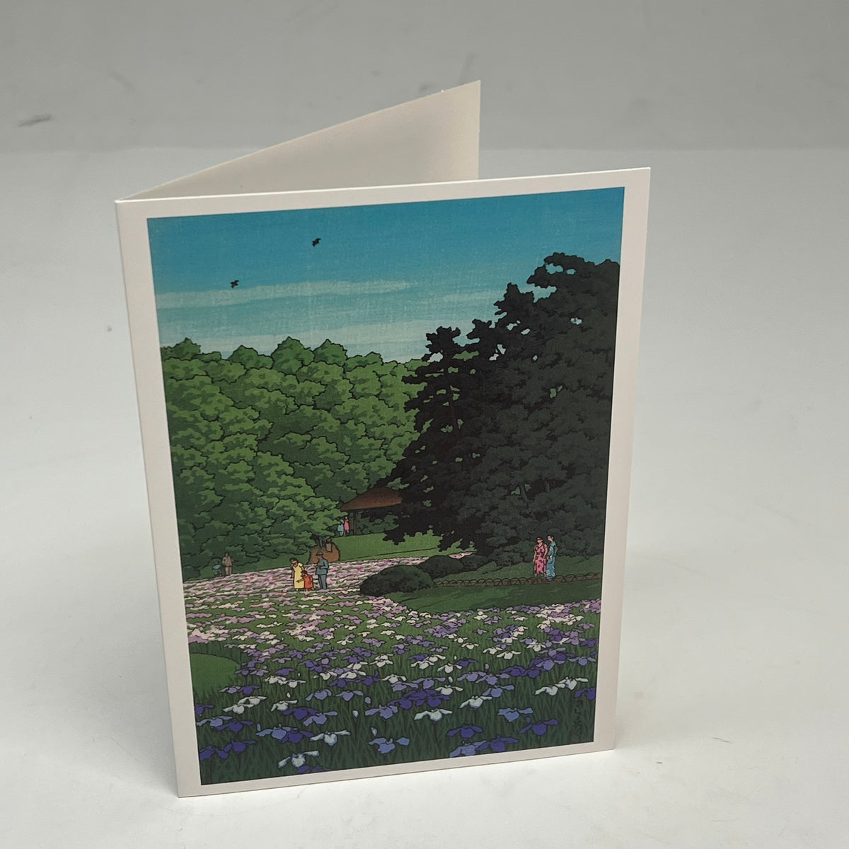 POMEGRANATE (20 PACK) Kawase Hasvi Boxed Notecards W/ Envelopes  4x6" 0413