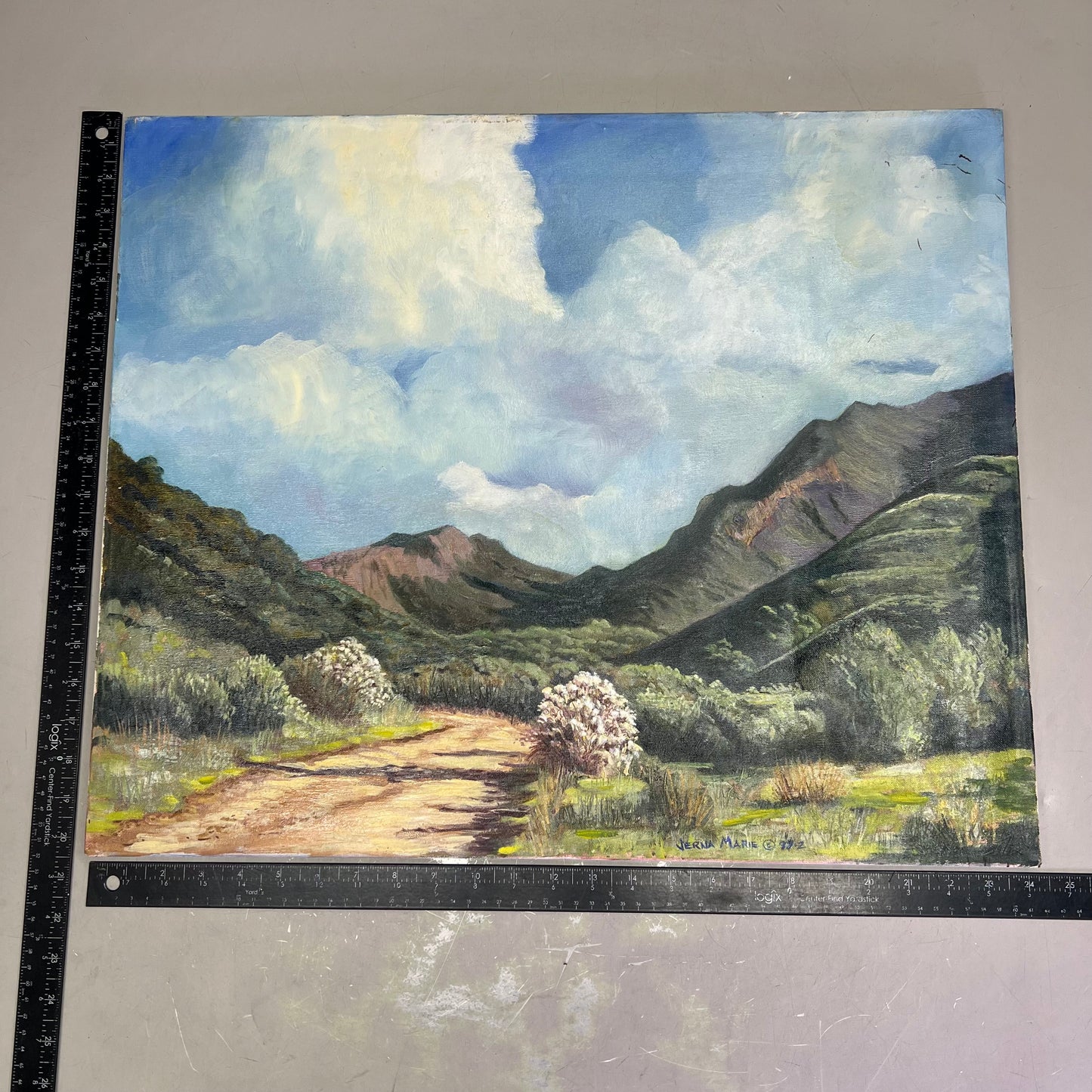 VERNA MARIE (CAMPBELL) Textured Oil Panting On Canvas Desert Mountains 24"x20"