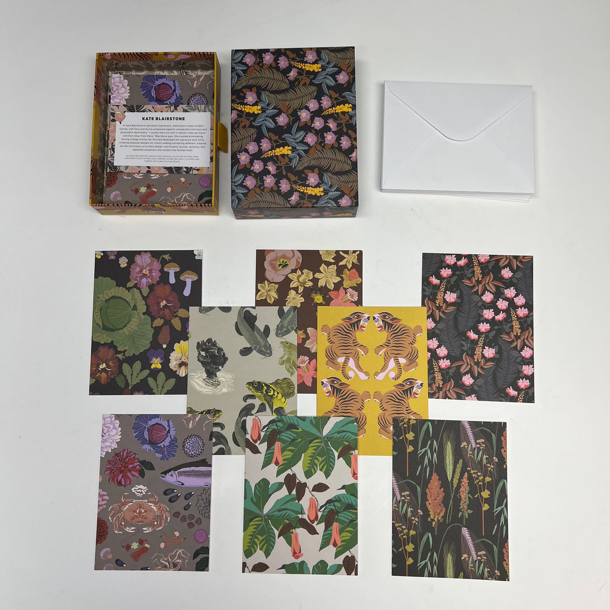 POMEGRANATE (16 PACK) Kate Blairstone Notecards In Slipcase Box 4x6" BX800