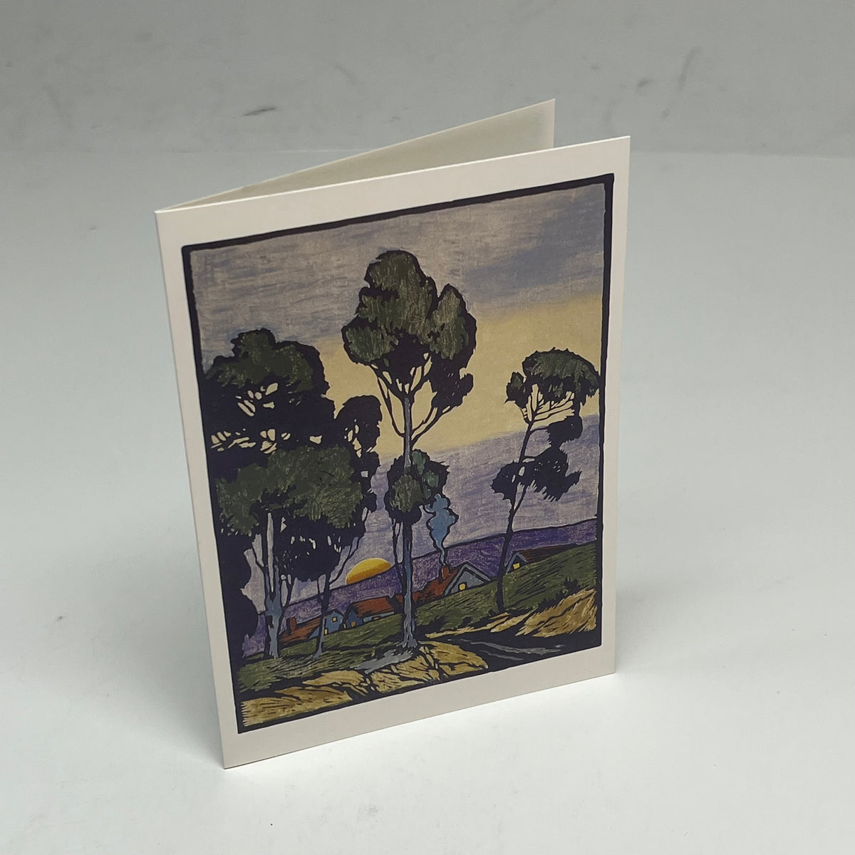 POMEGRANTE (20 PACK) Arts & Crafts William S. Rice Notecards W/ Envelops 4x6"