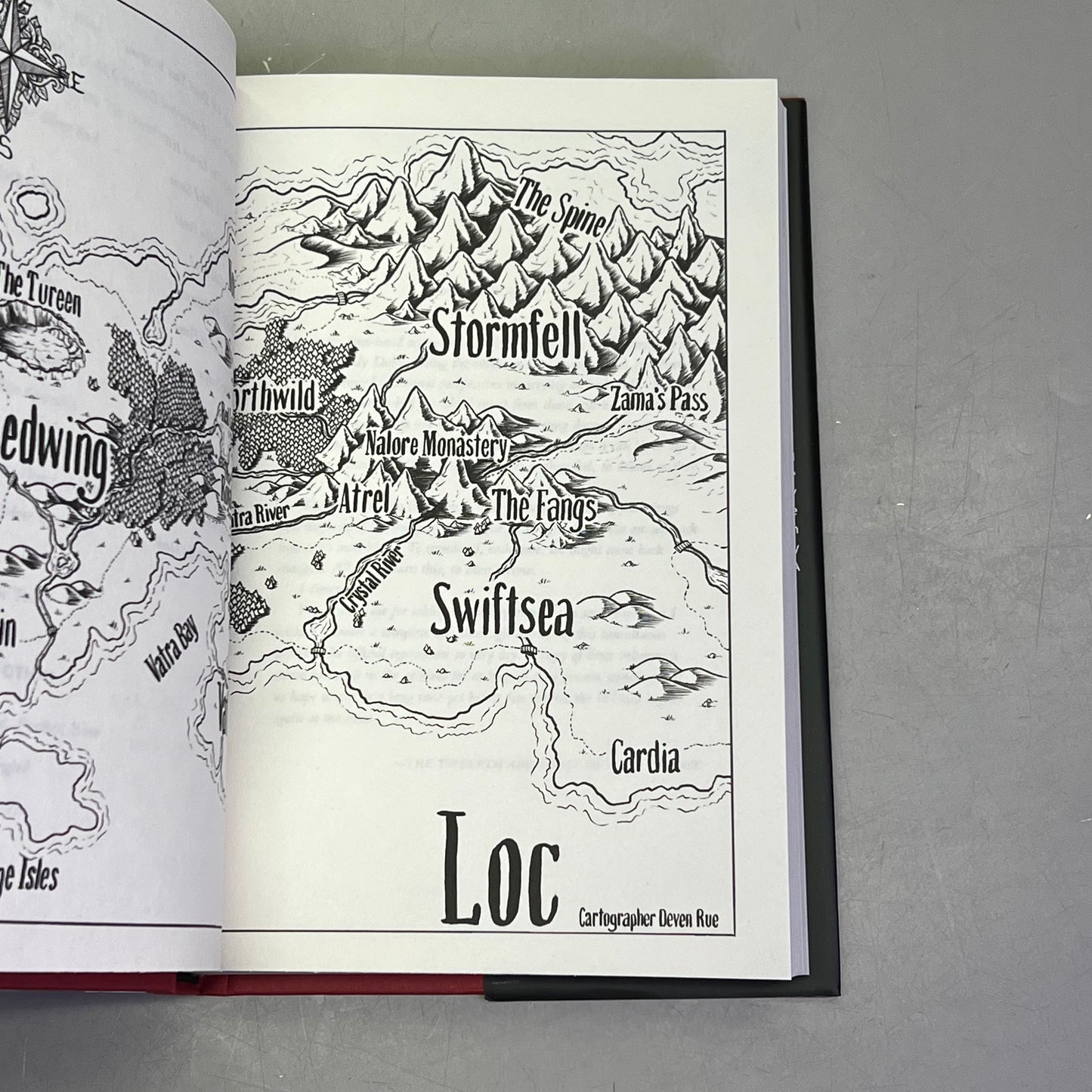 DRAGON FALL Fantasy Book 1 Of 2 Dragon Scales By L. R. Lam Hardback Book