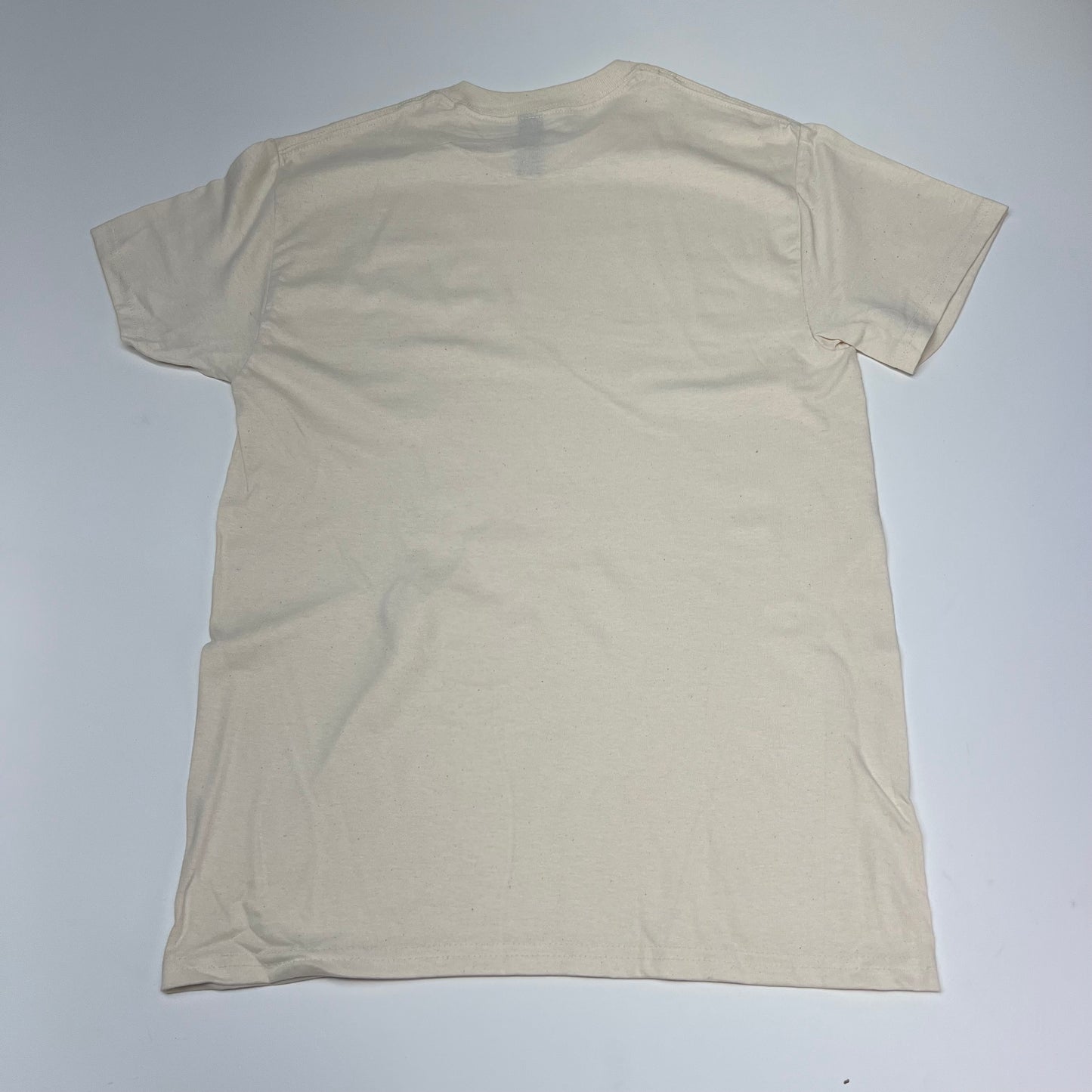 ZA@ GILDEN  (24 PACK) Pre Shrunk Heavy Cotton T-shirt  Unisex Sz S Natural 10057