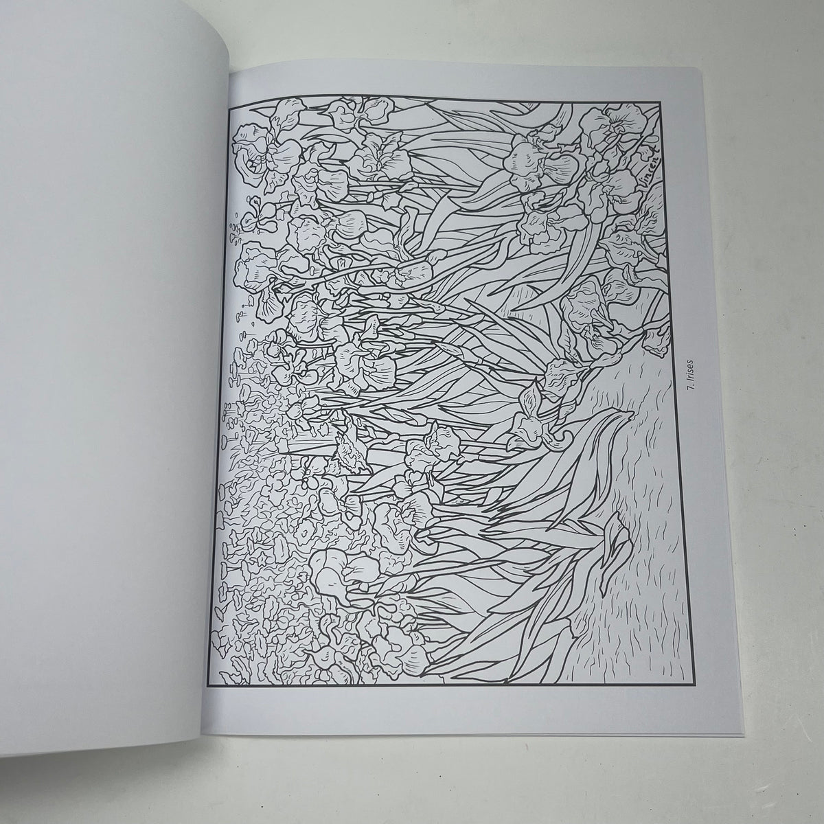 ZA@ POMEGRANATE Vincent Van Gogh Coloring Book Soft Cover 21 Images