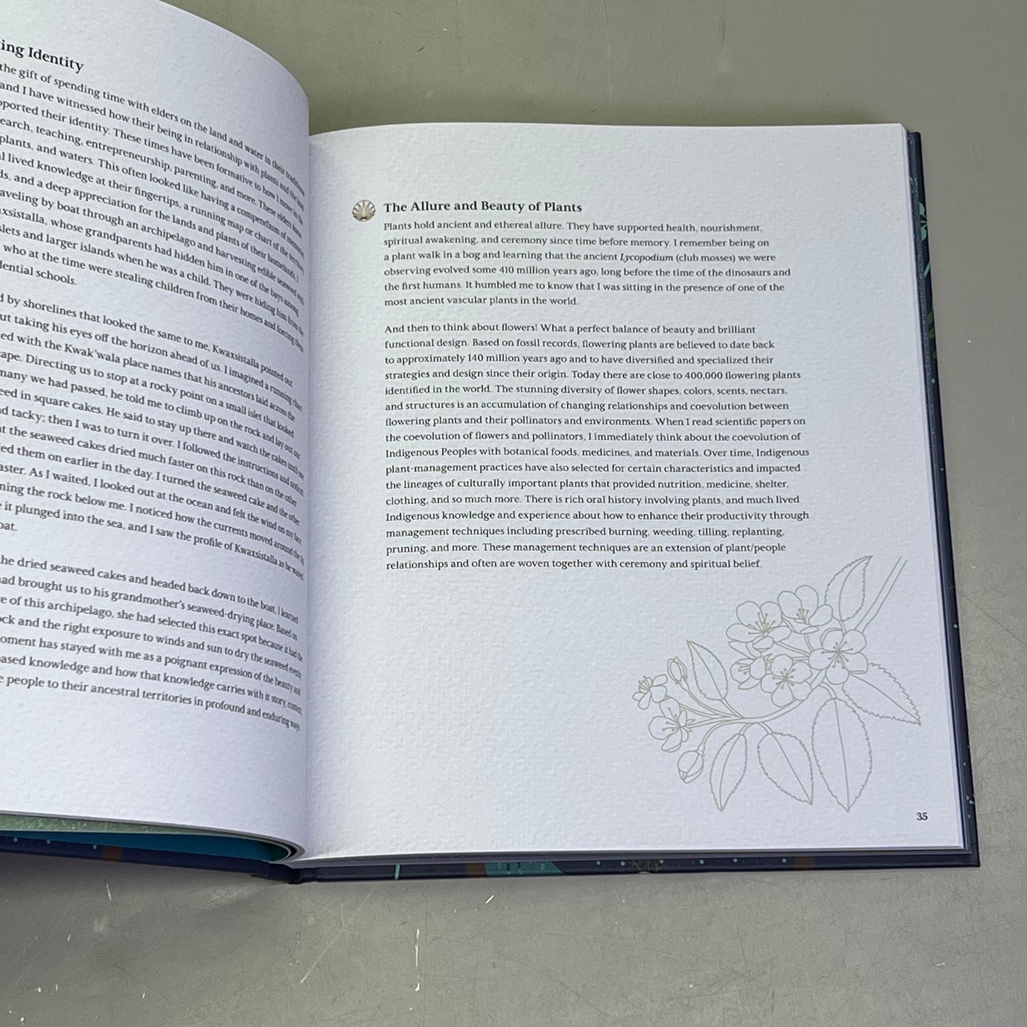 HELD BY THE LAND A Guide To Indigenous Plants For Wellness By Leigh Joseph