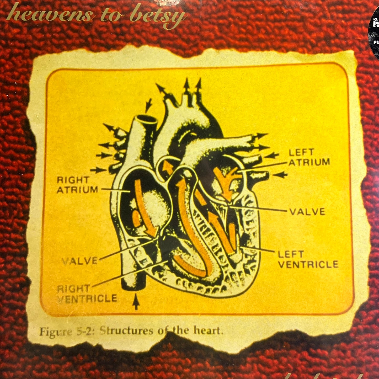 HEAVENS TO BETSY Calculated Record Vinyl, LP, Album Released 1994 Kill Rockstar