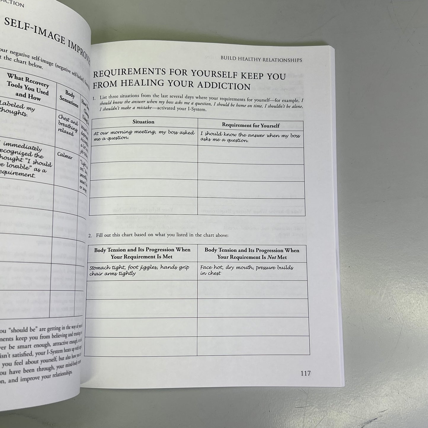 MIND-BODY WORKBOOK FOR ADDICTION Effective Tools Substance Abuse Recovery Book