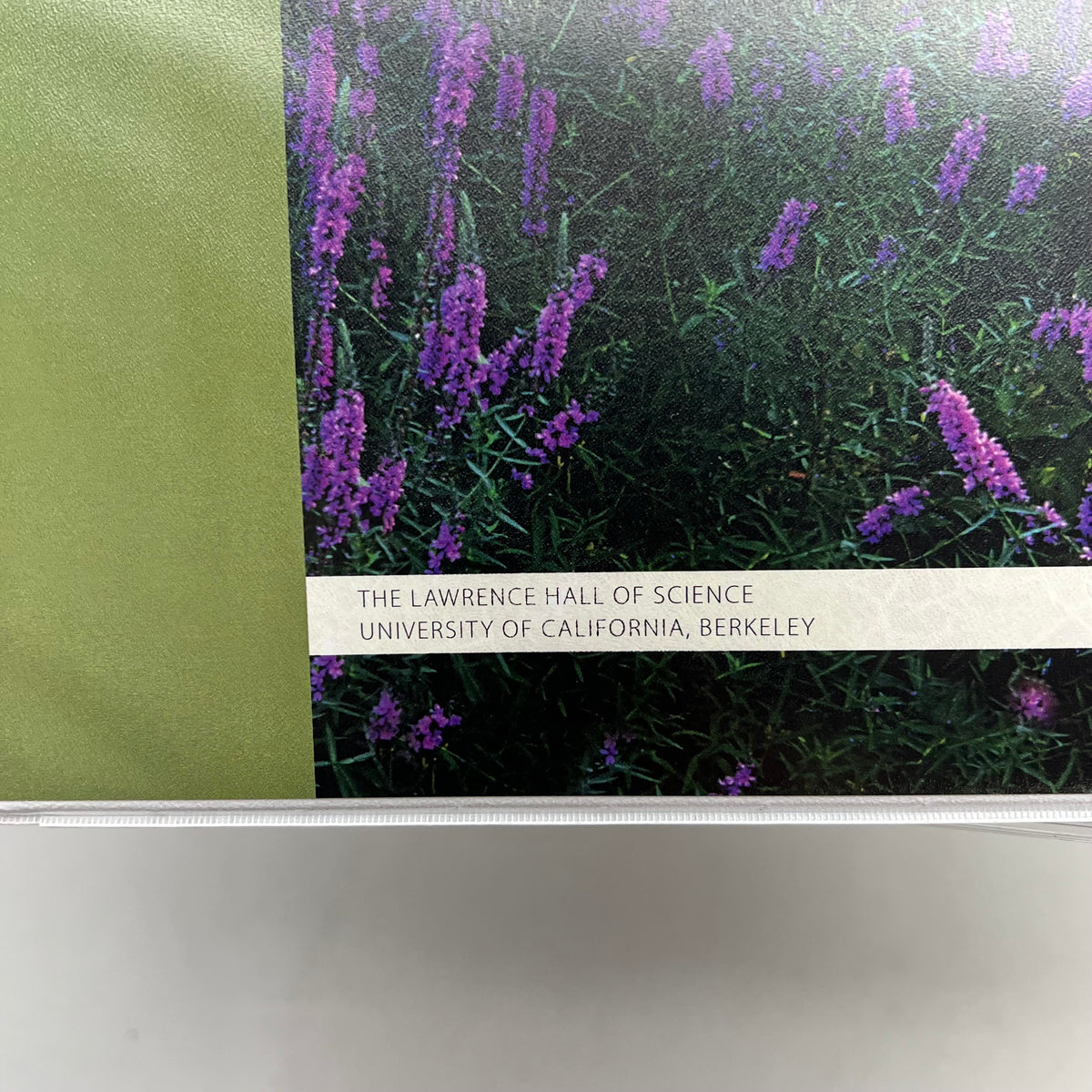 LAB AIDS Issues & Life Science Ecology Teacher Edition Revised 3rd Ed & Binder