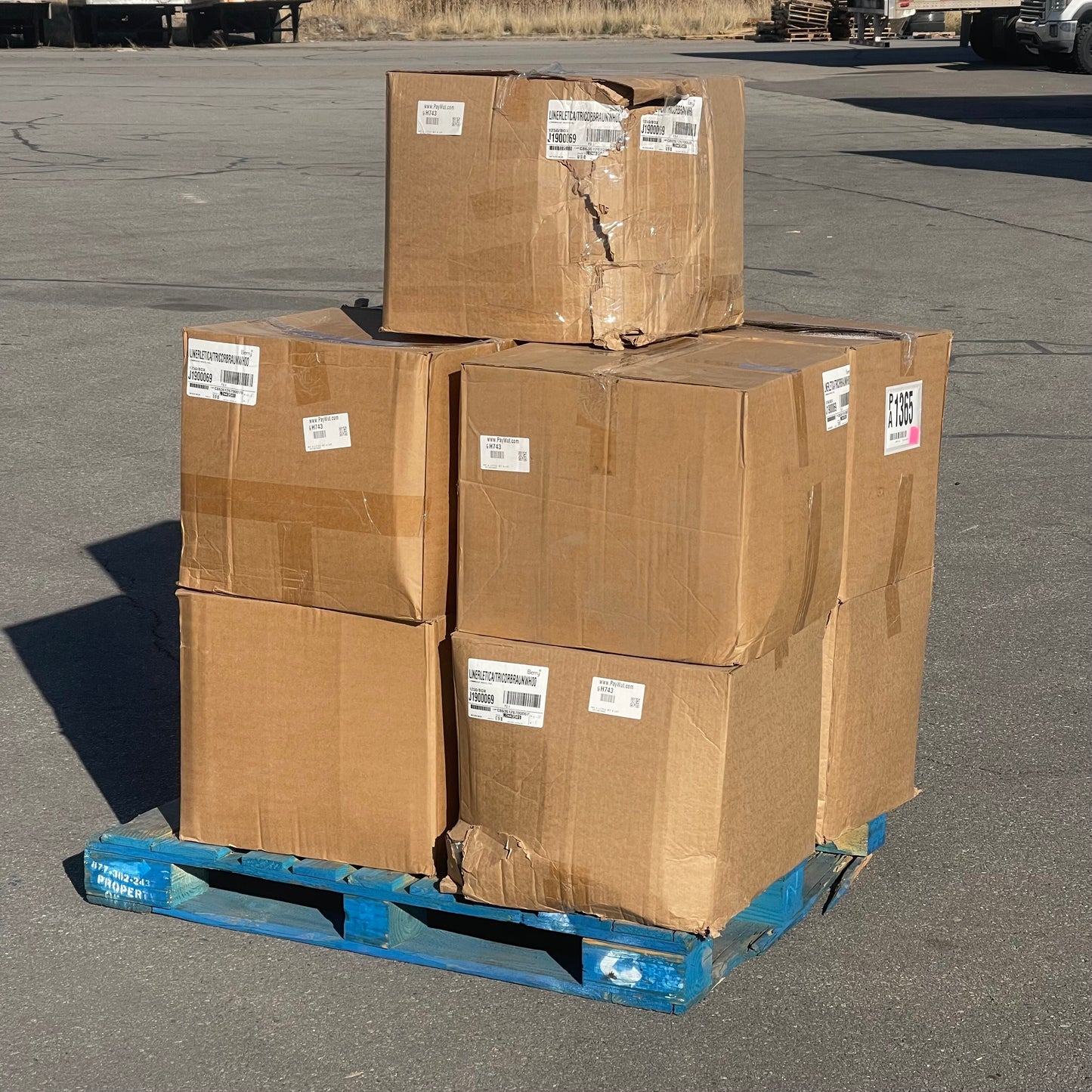 ZA@ Pallet of BERRY Linerletica/Tricorbraunwhoo Plastic Top 1250 PK!