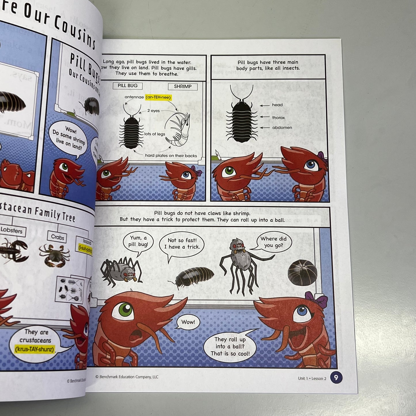 BENCHMARK EDUCATION (35 Book, 7 Unit Set) Classroom Phonics Intervention Level 3