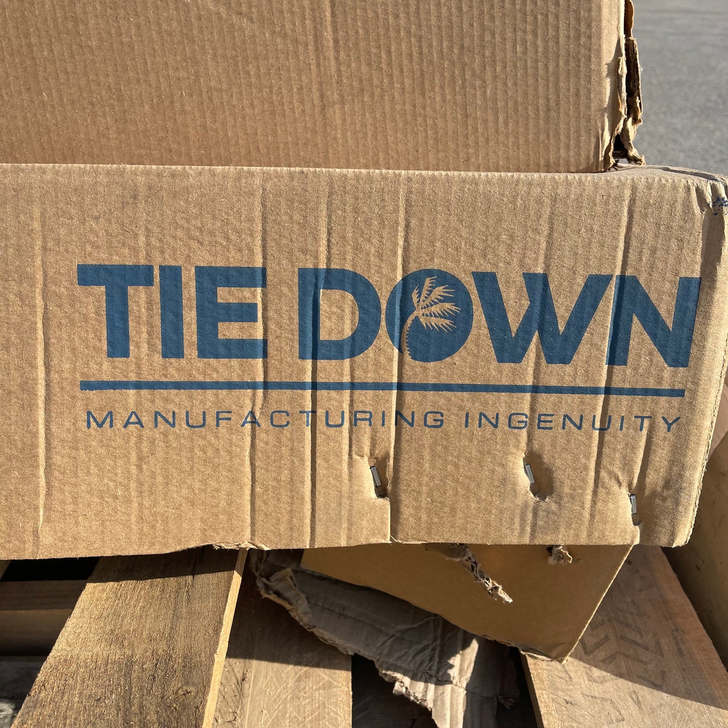 TIE DOWN Tranzporter Carriage & Hoist W/ HONDA Motor TP250 (INCOMPLETE)
