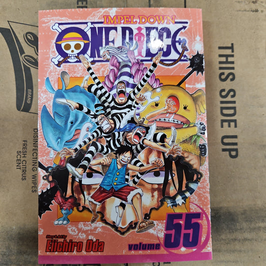 One Piece, Vol. 55: A Ray of Hope (One Piece Graphic Novel) by Eiichiro Oda Paperback (New)