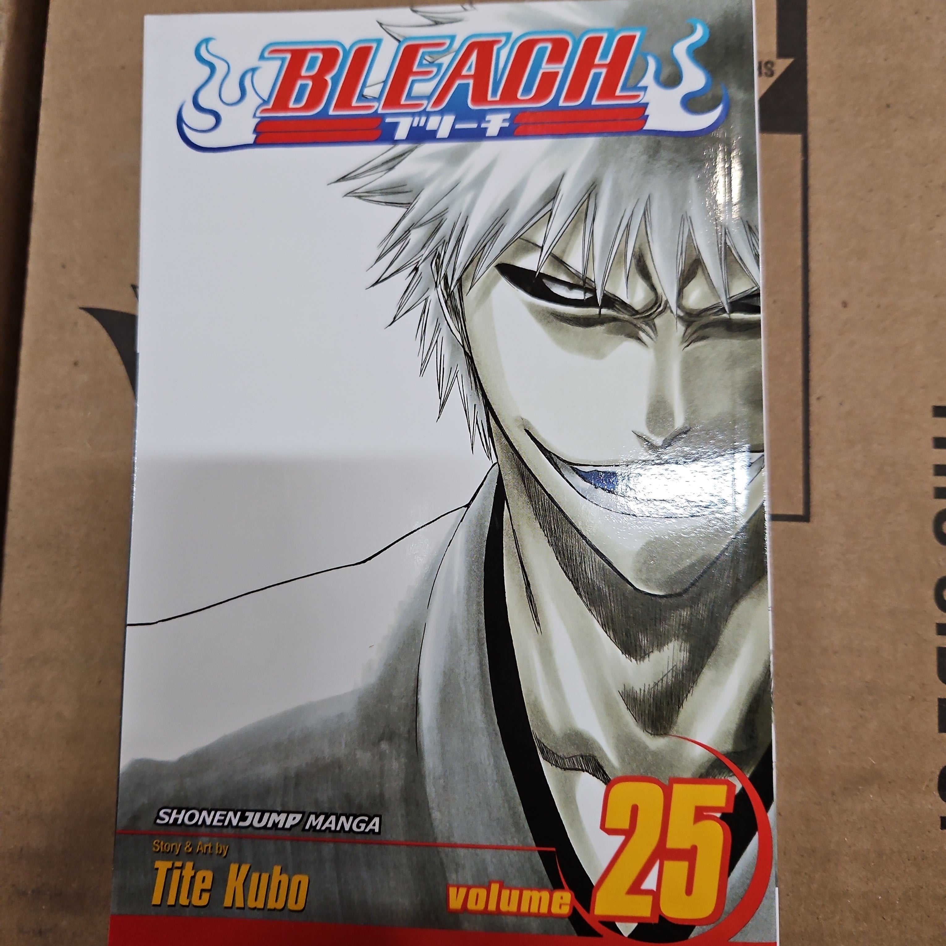 Bleach, Vol. 25 by Tite Kubo Paperback (New) – PayWut