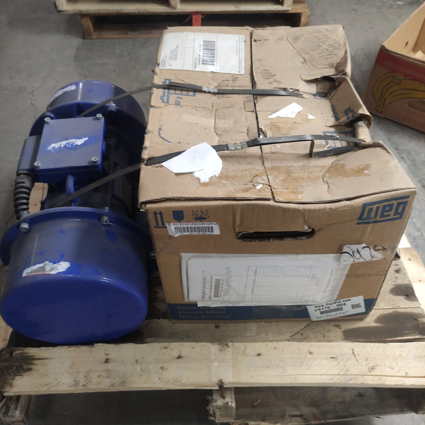 KOOLEN INDUSTRY ELSTO Cast Iron Vibrator Motors KBCVV-165-6 BLUE