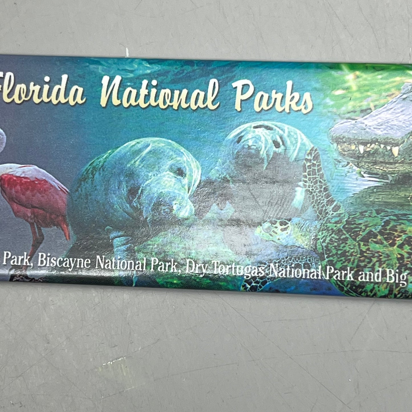 MAGNET (10 PACK) South Florida National Parks 5"x2" Multicolor