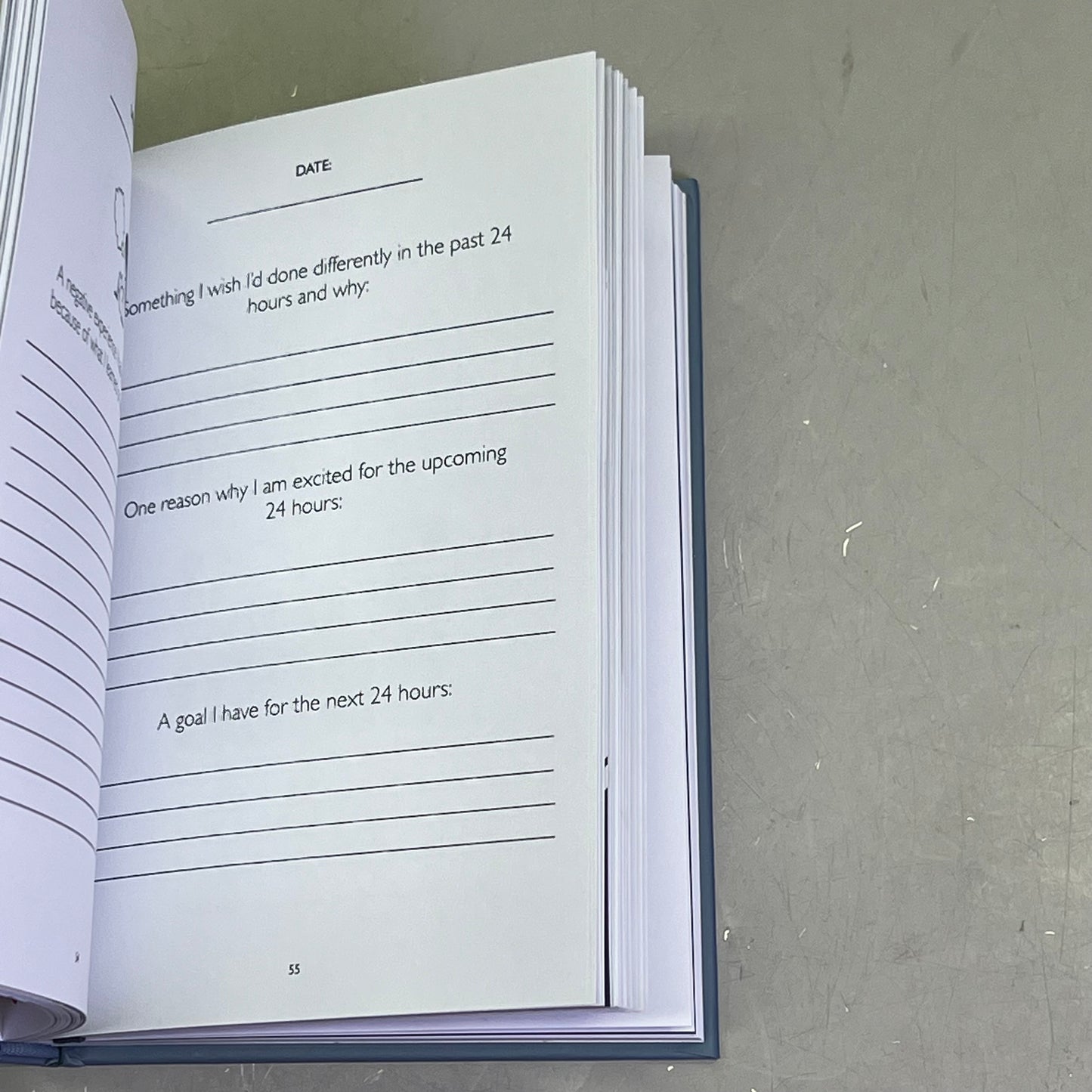 MY HEARTS CONTENT Hardcover Comic, Journal & Sticker Book By Catana Chetwynd