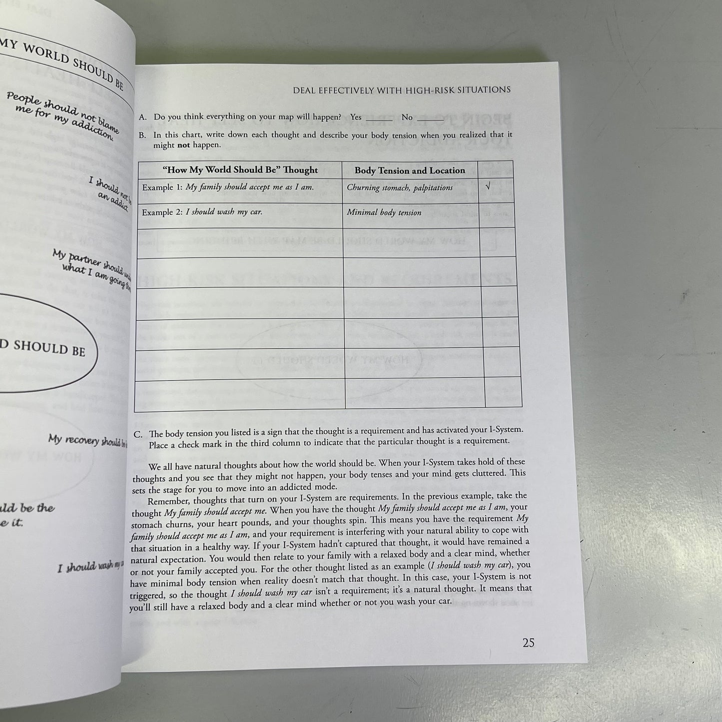 MIND-BODY WORKBOOK FOR ADDICTION Effective Tools Substance Abuse Recovery Book