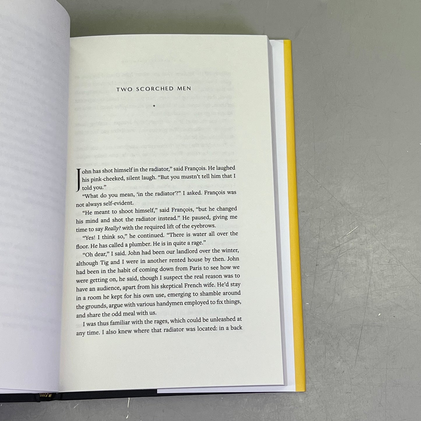 OLD BABES IN THE WOOD Stories Hardback By Margret Atwood National Bestseller